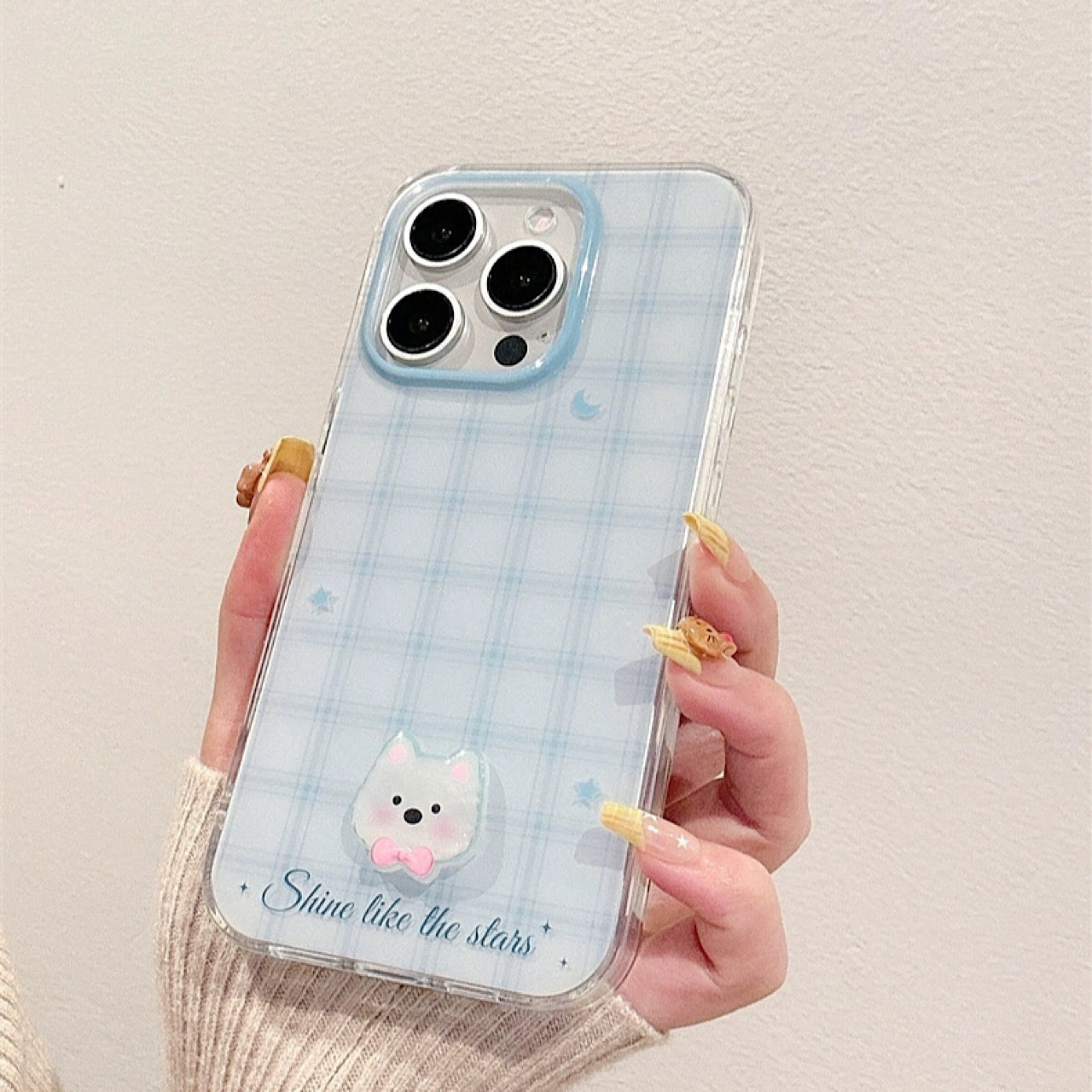 INSCASE
