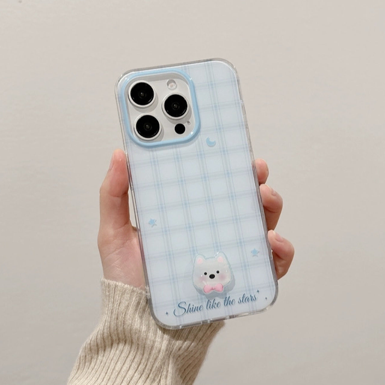 INSCASE