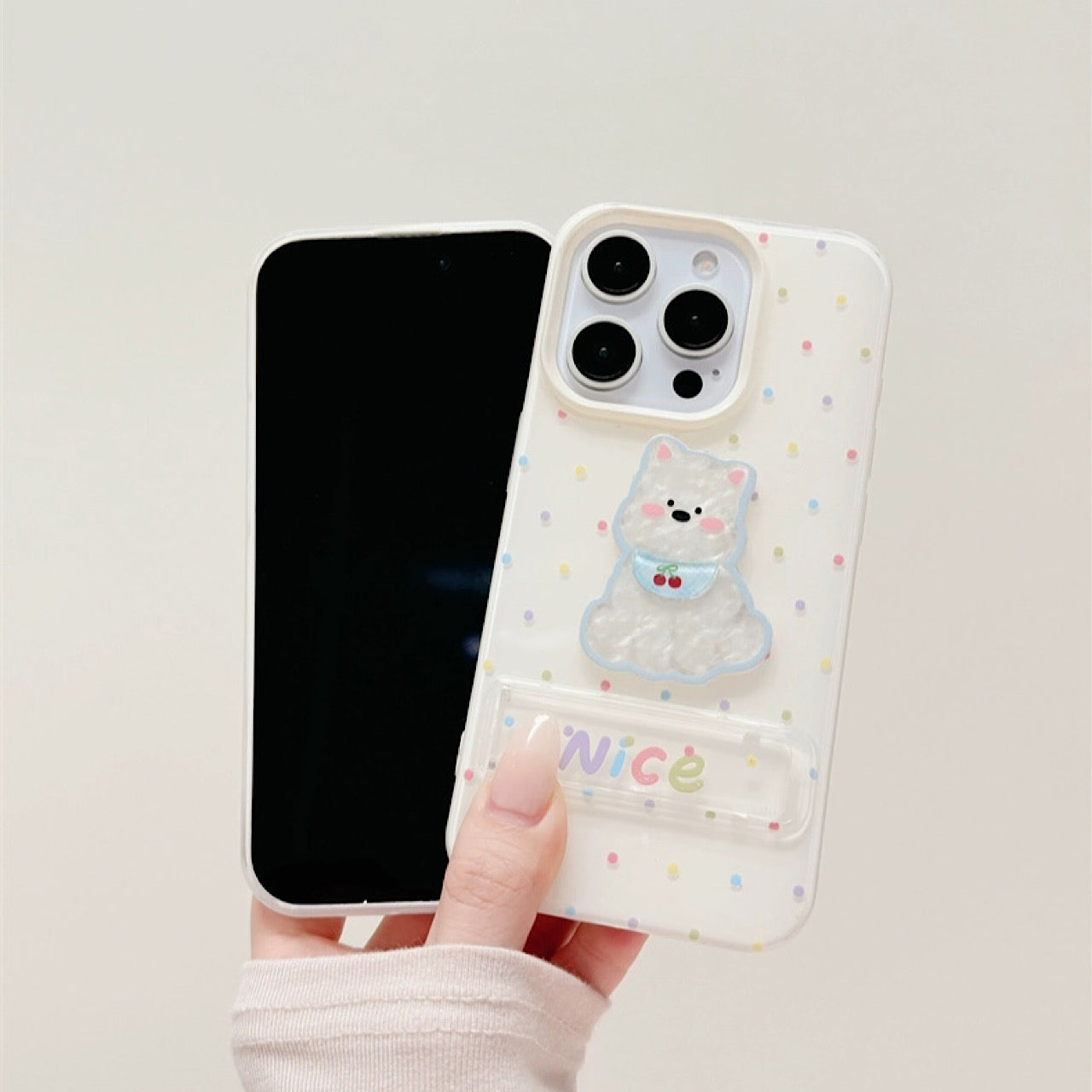INSCASE