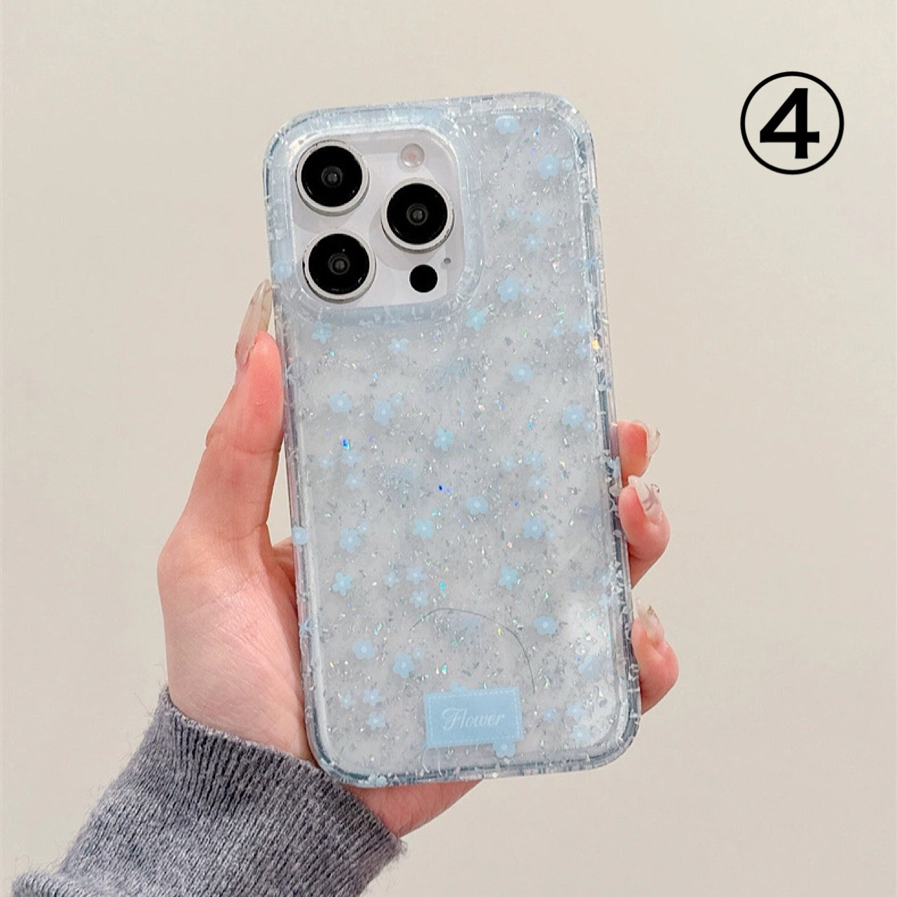 INSCASE