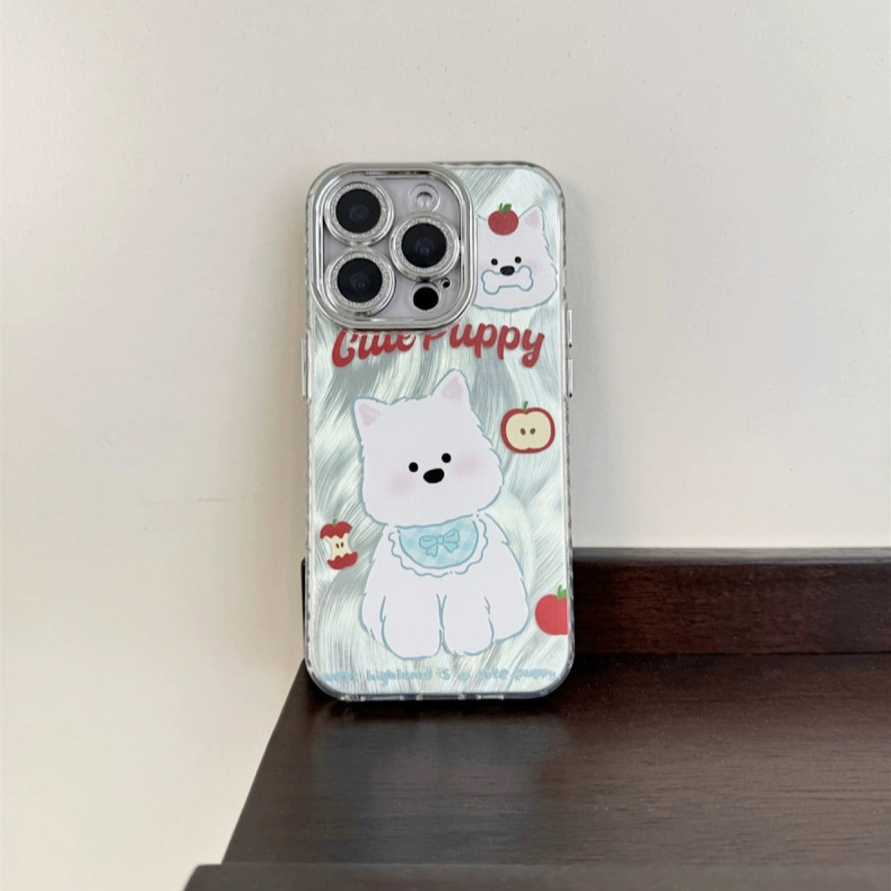 INSCASE