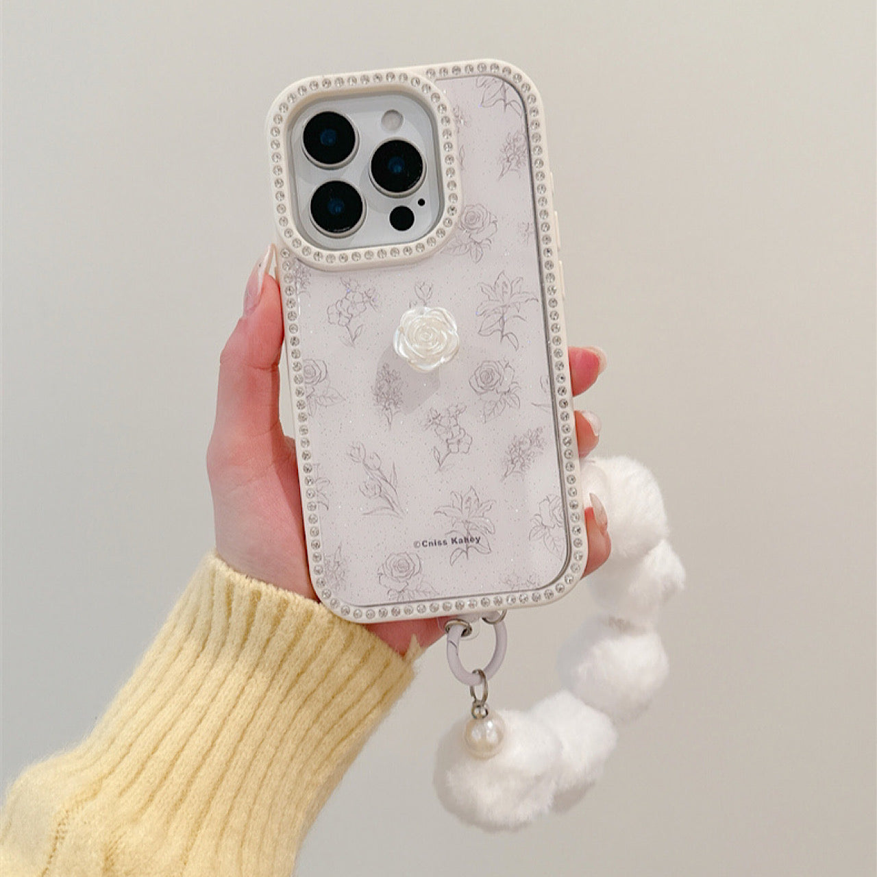 INSCASE