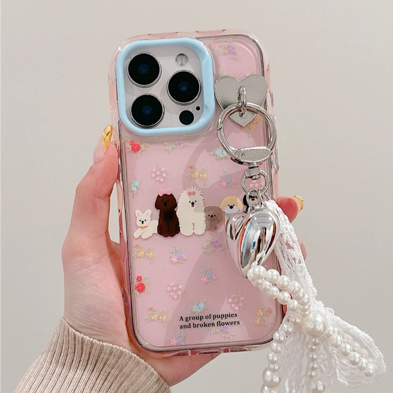 INSCASE
