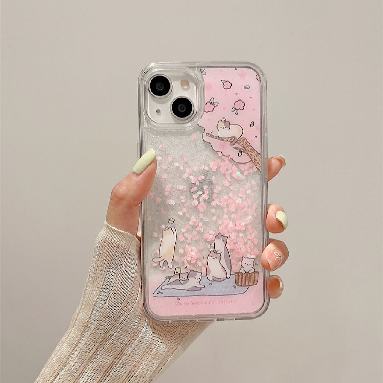 INSCASE
