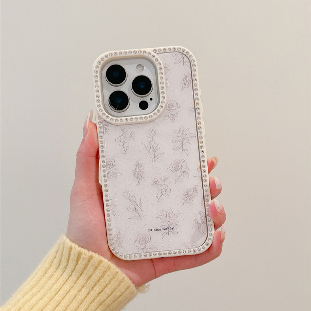 INSCASE