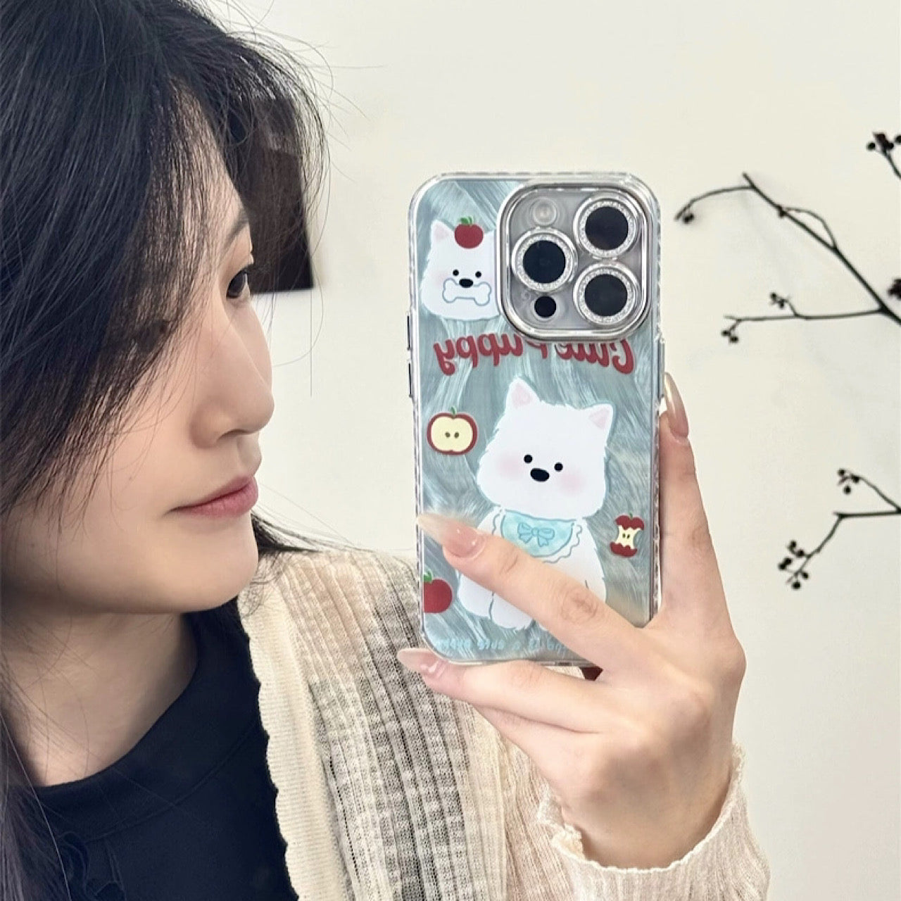 INSCASE