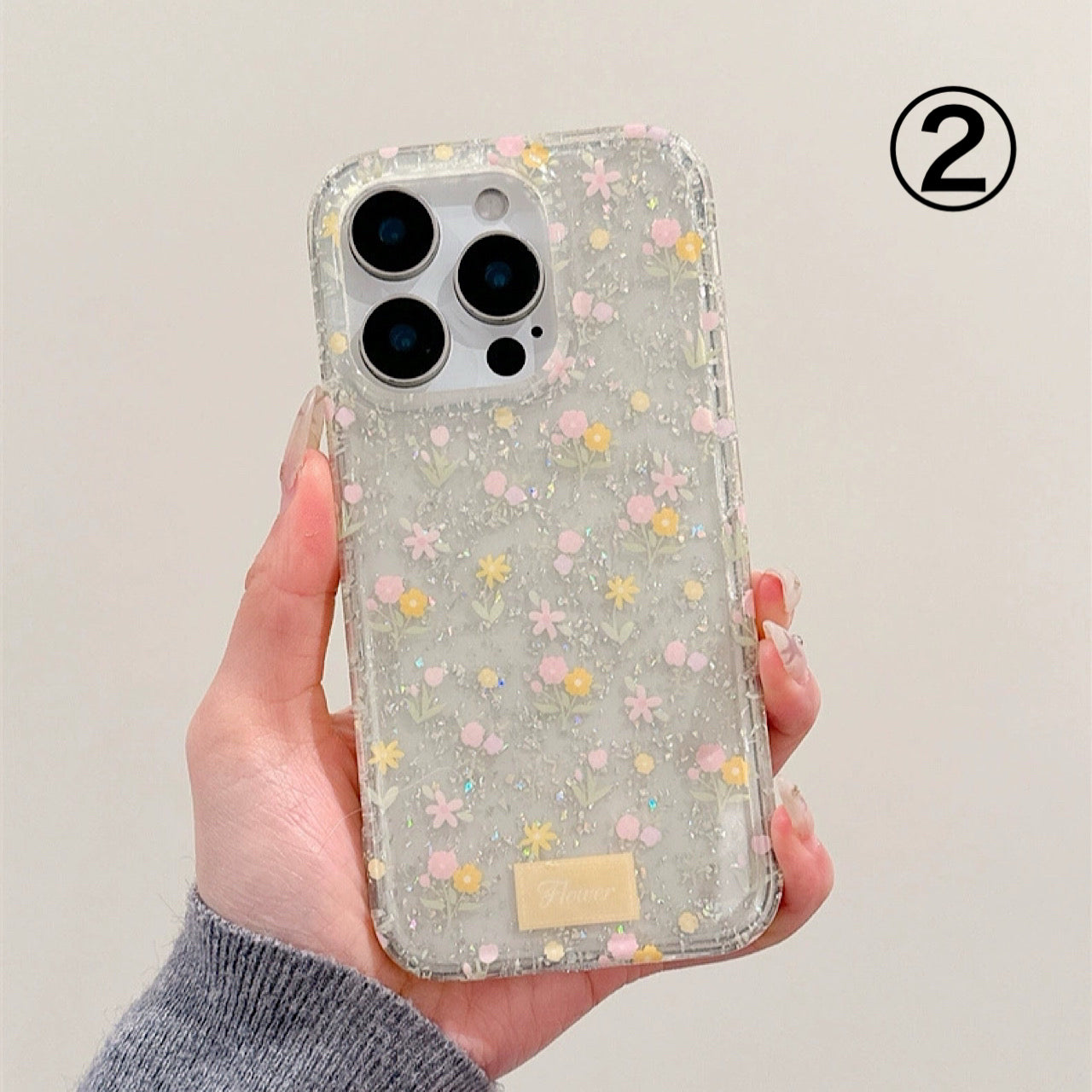 INSCASE