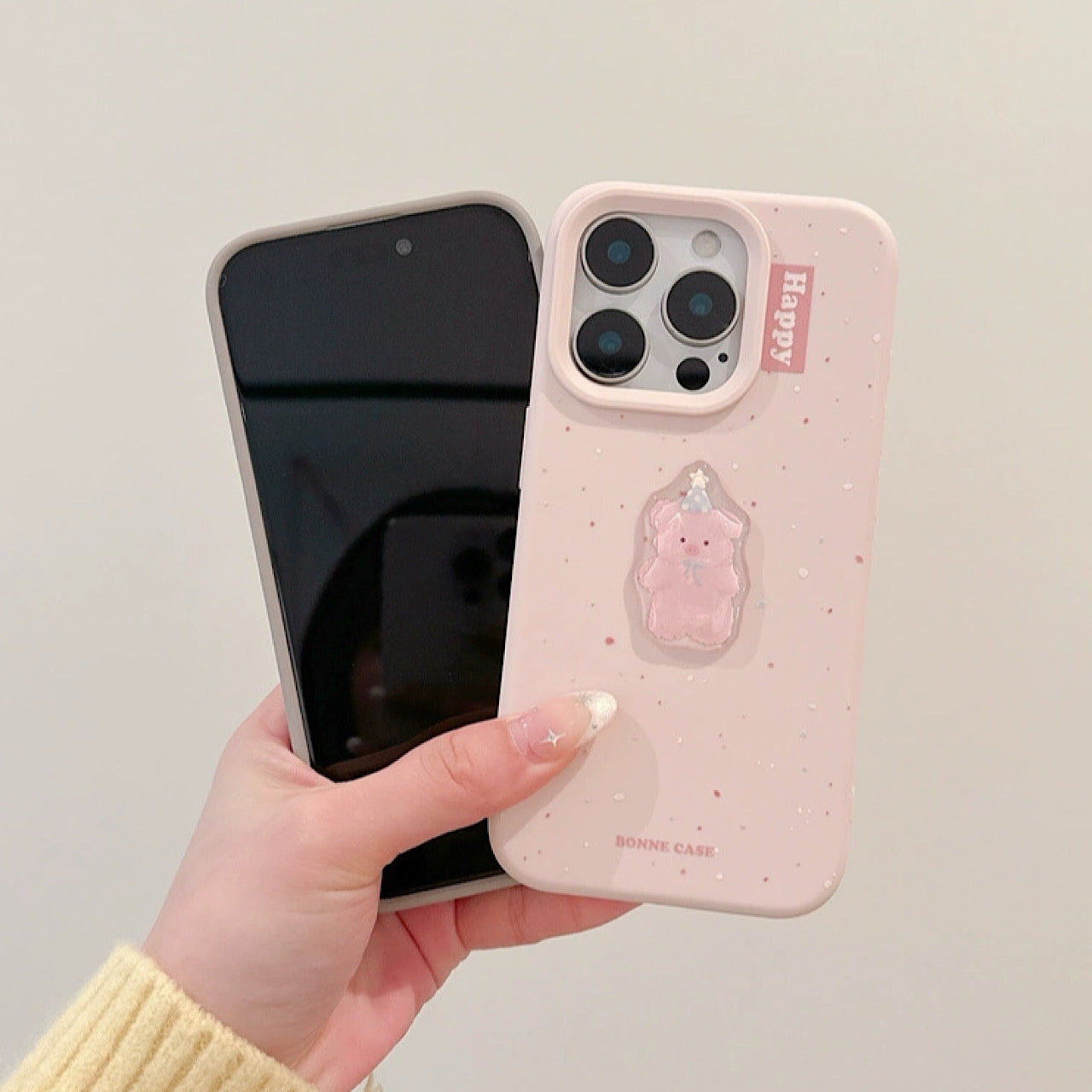 INSCASE