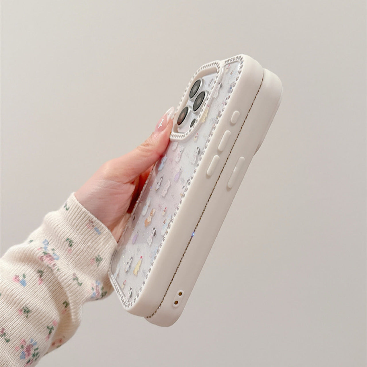 INSCASE