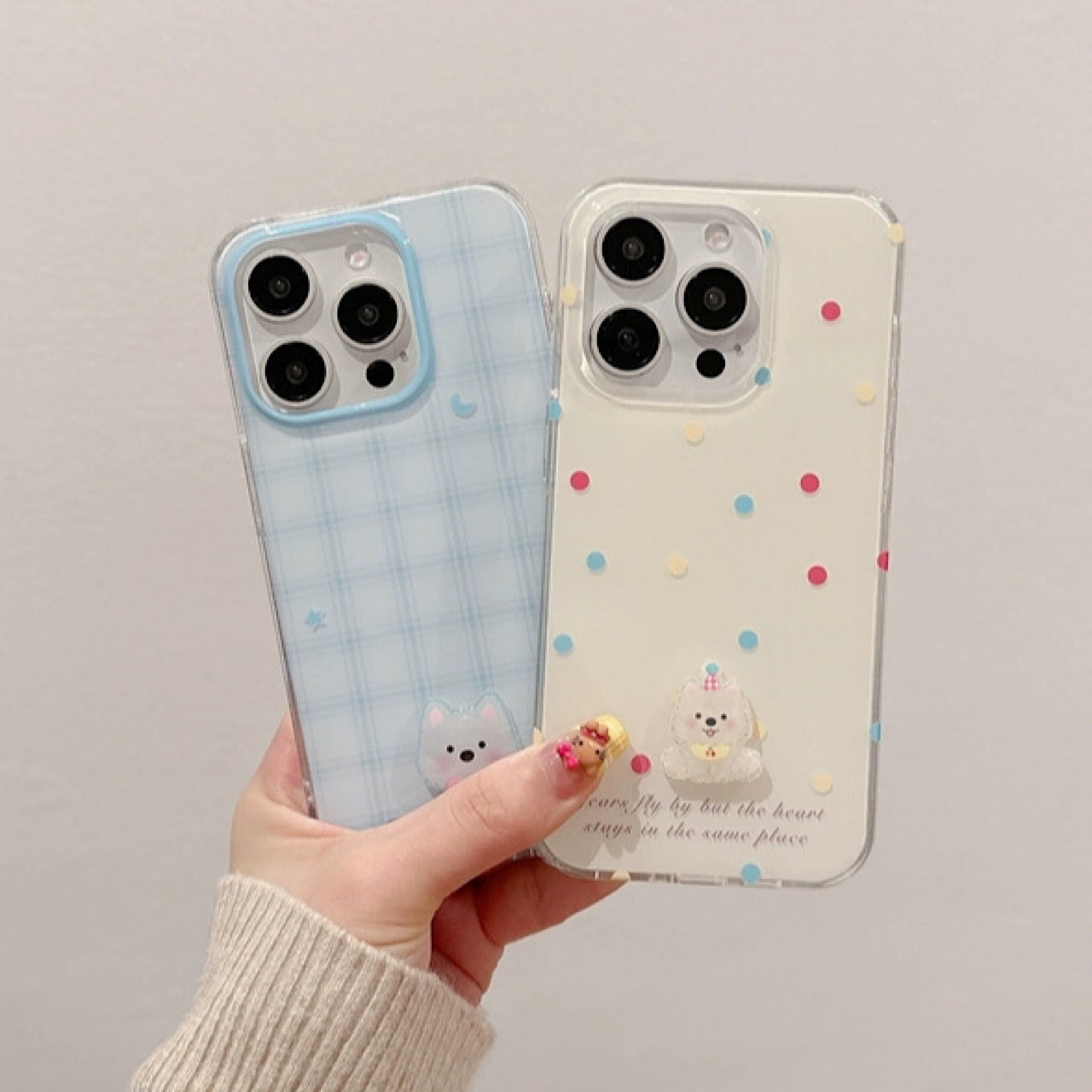 INSCASE