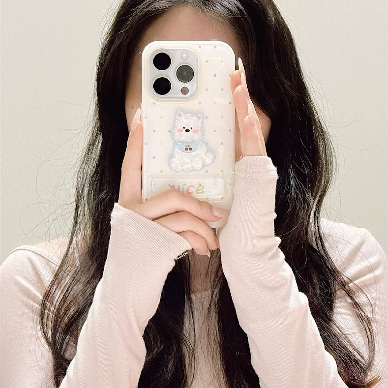 INSCASE