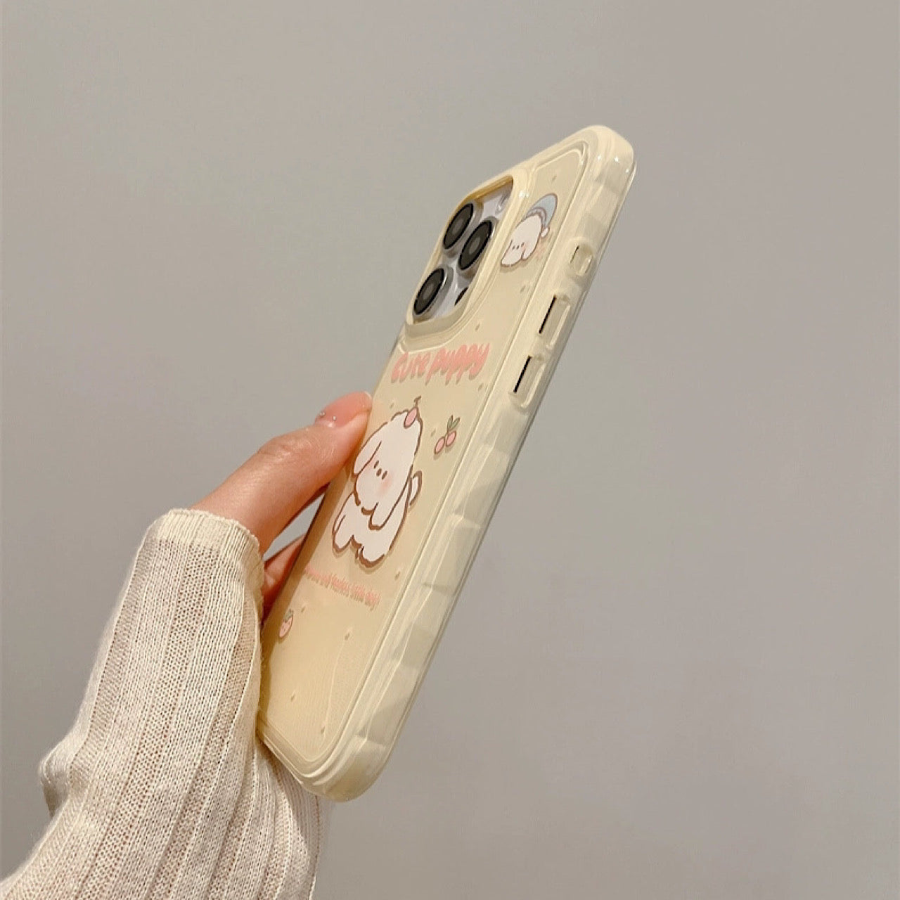 INSCASE