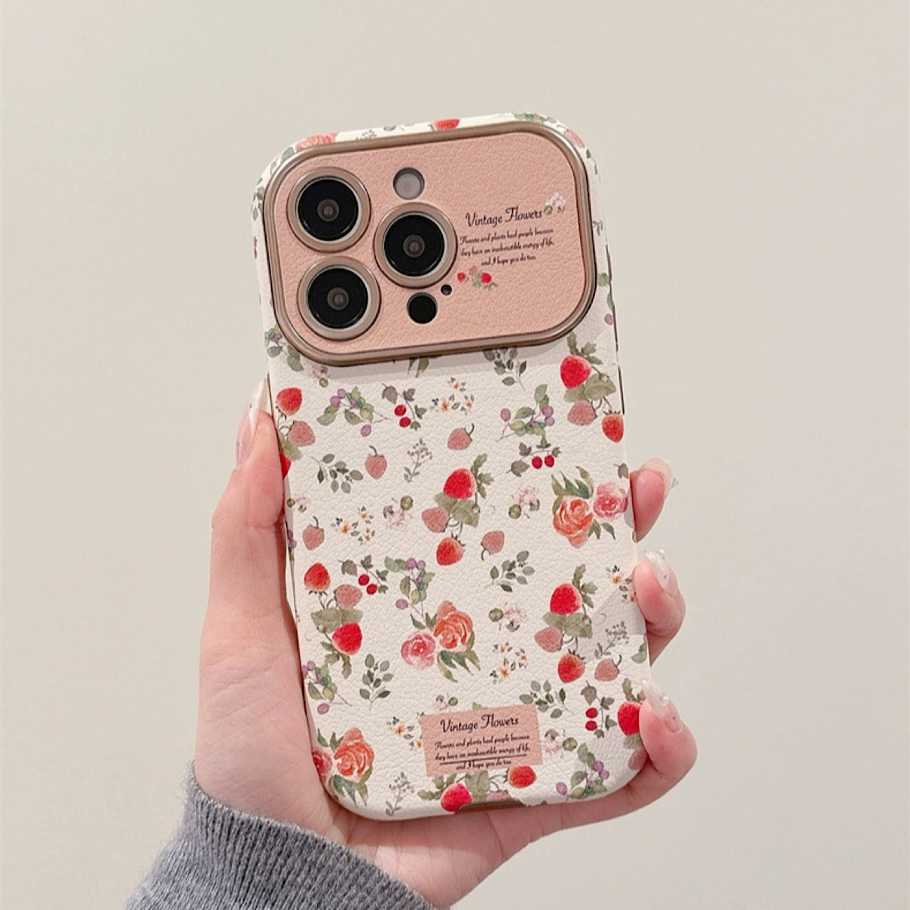 INSCASE