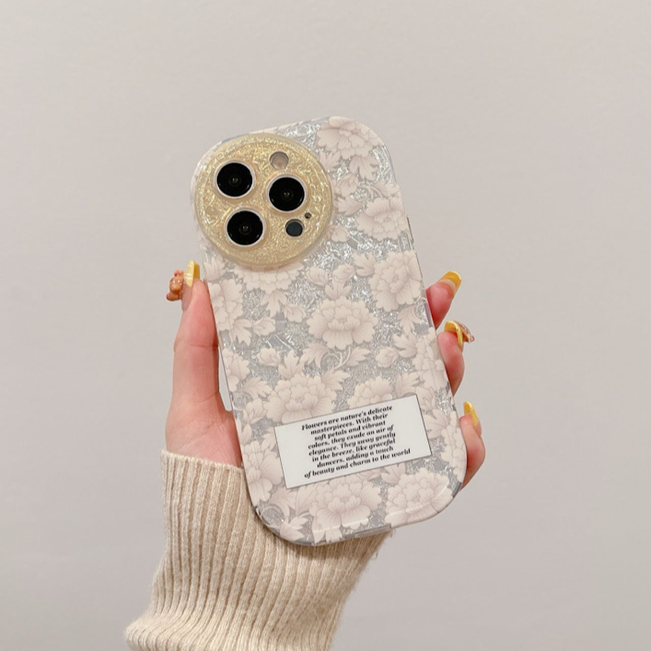 INSCASE