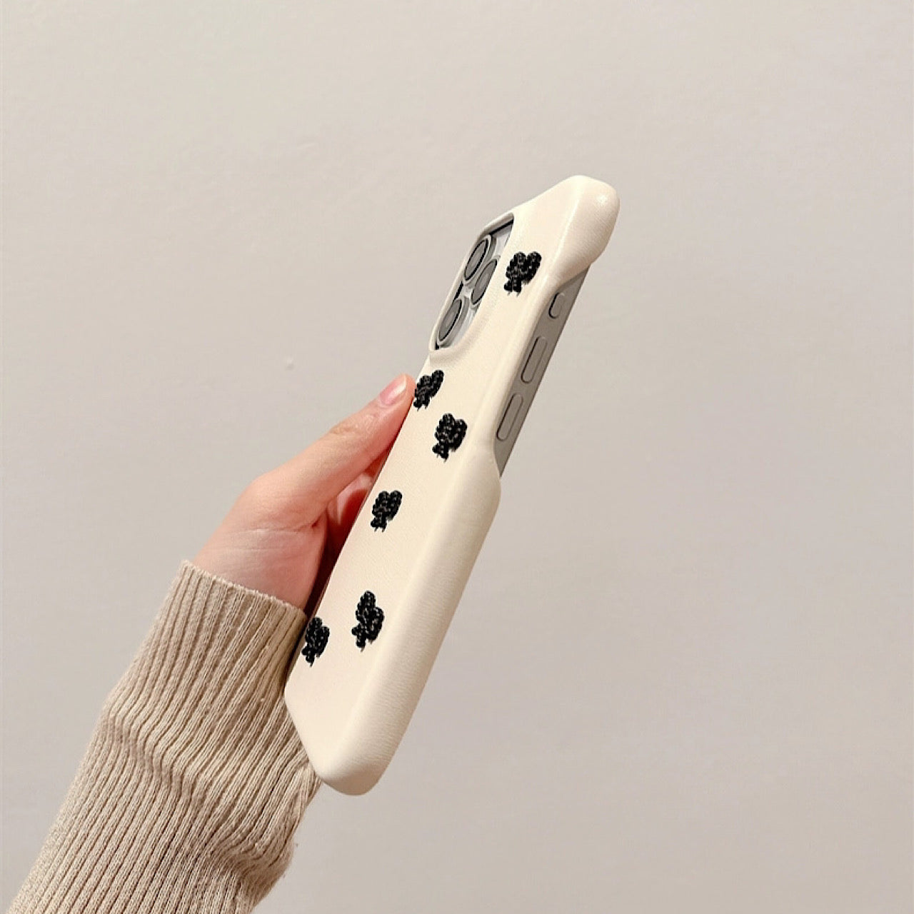 INSCASE