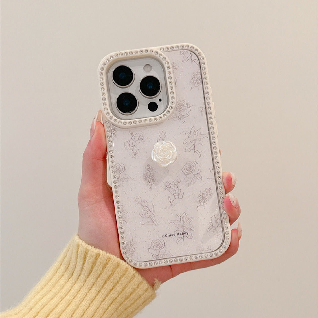 INSCASE