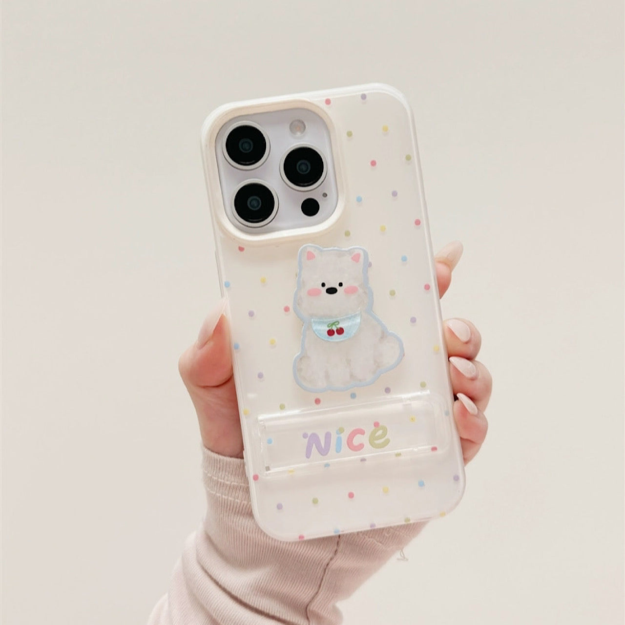 INSCASE