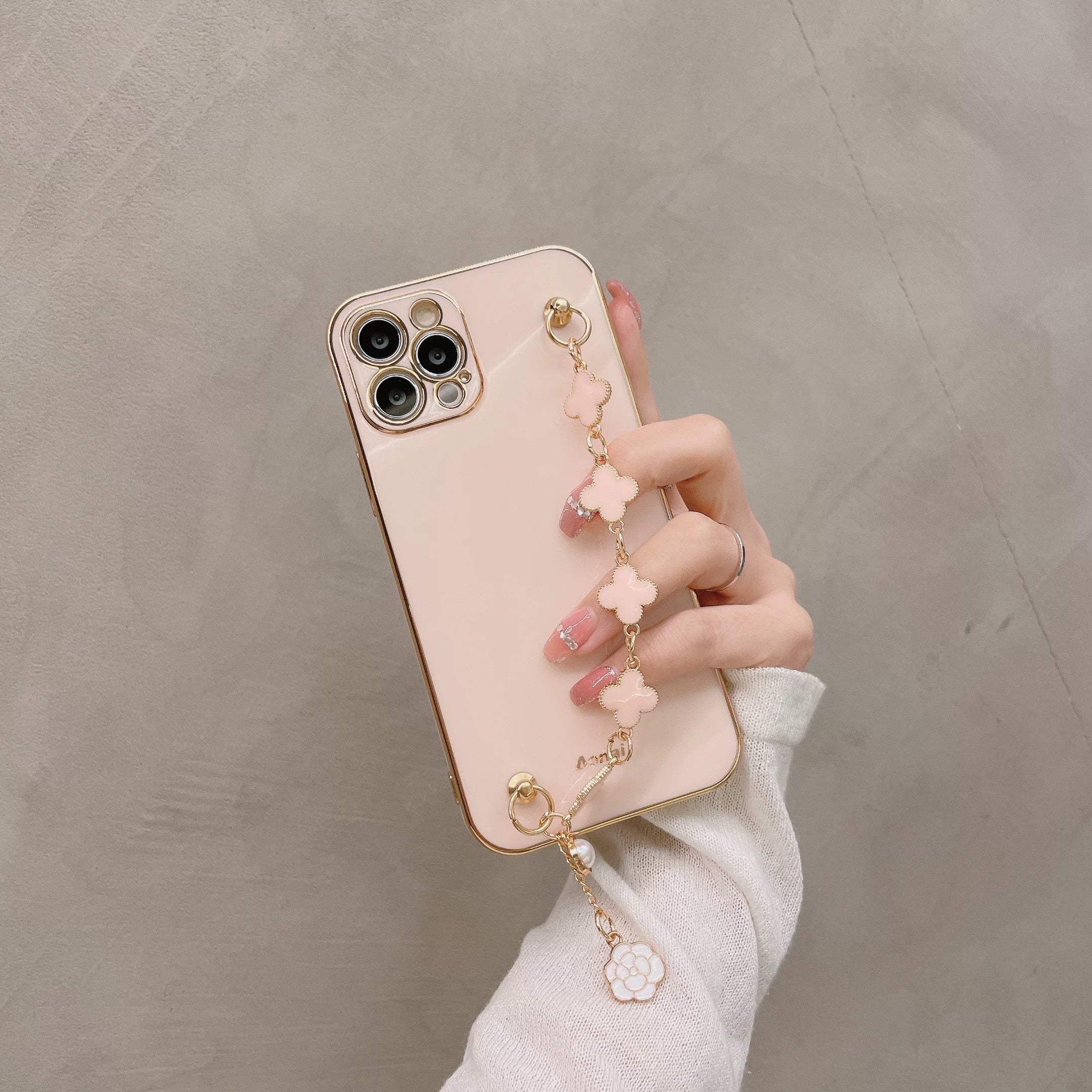 INSCASE