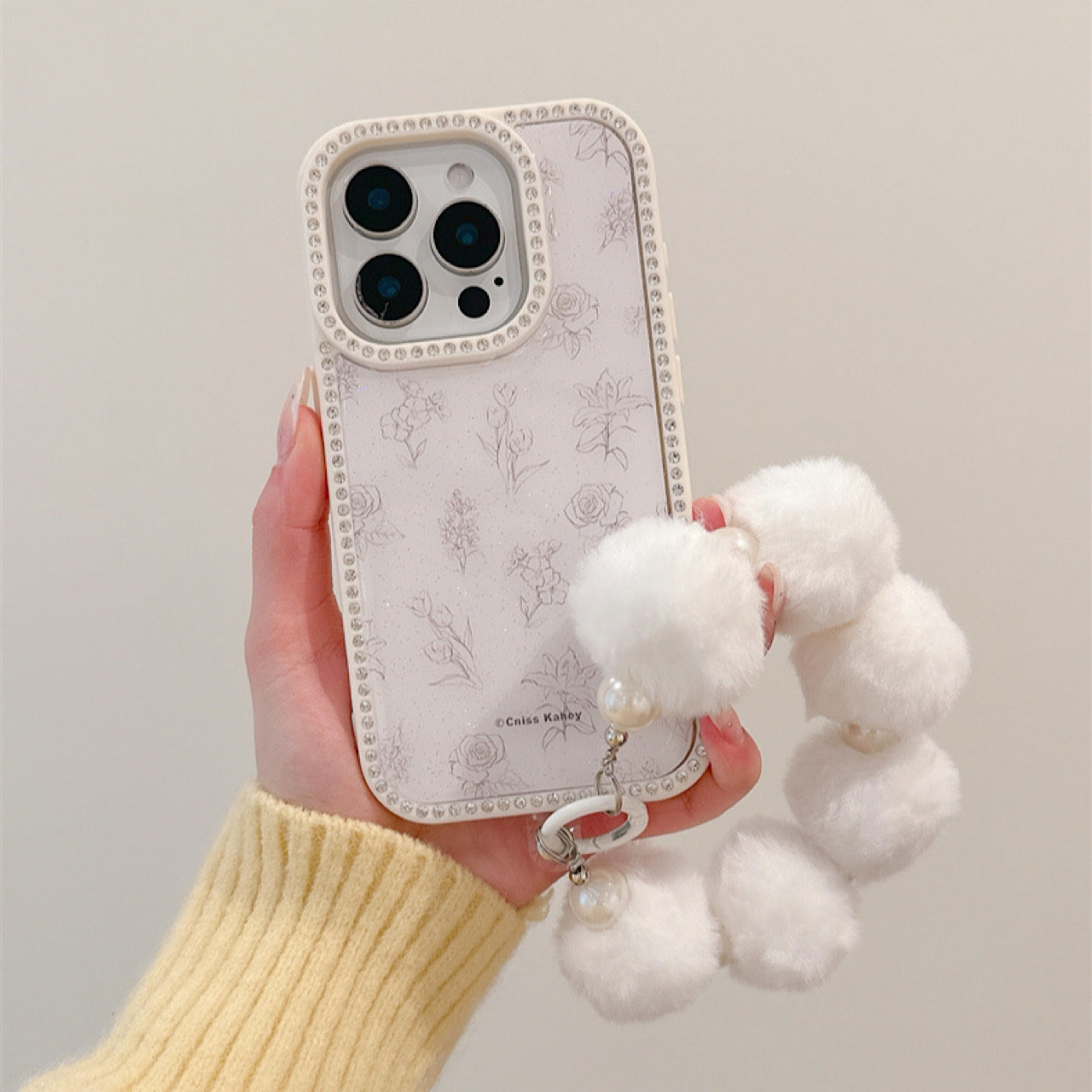 INSCASE