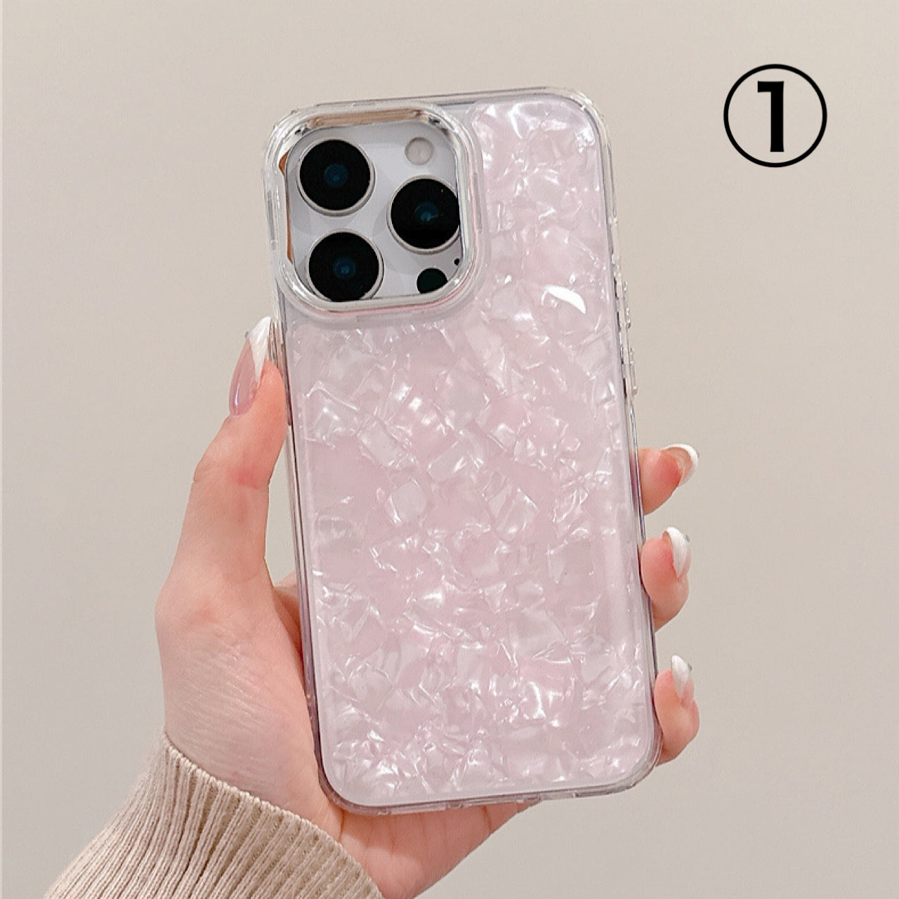 INSCASE