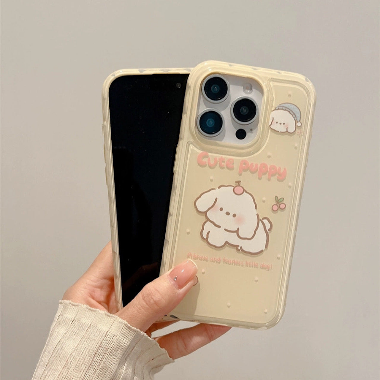 INSCASE