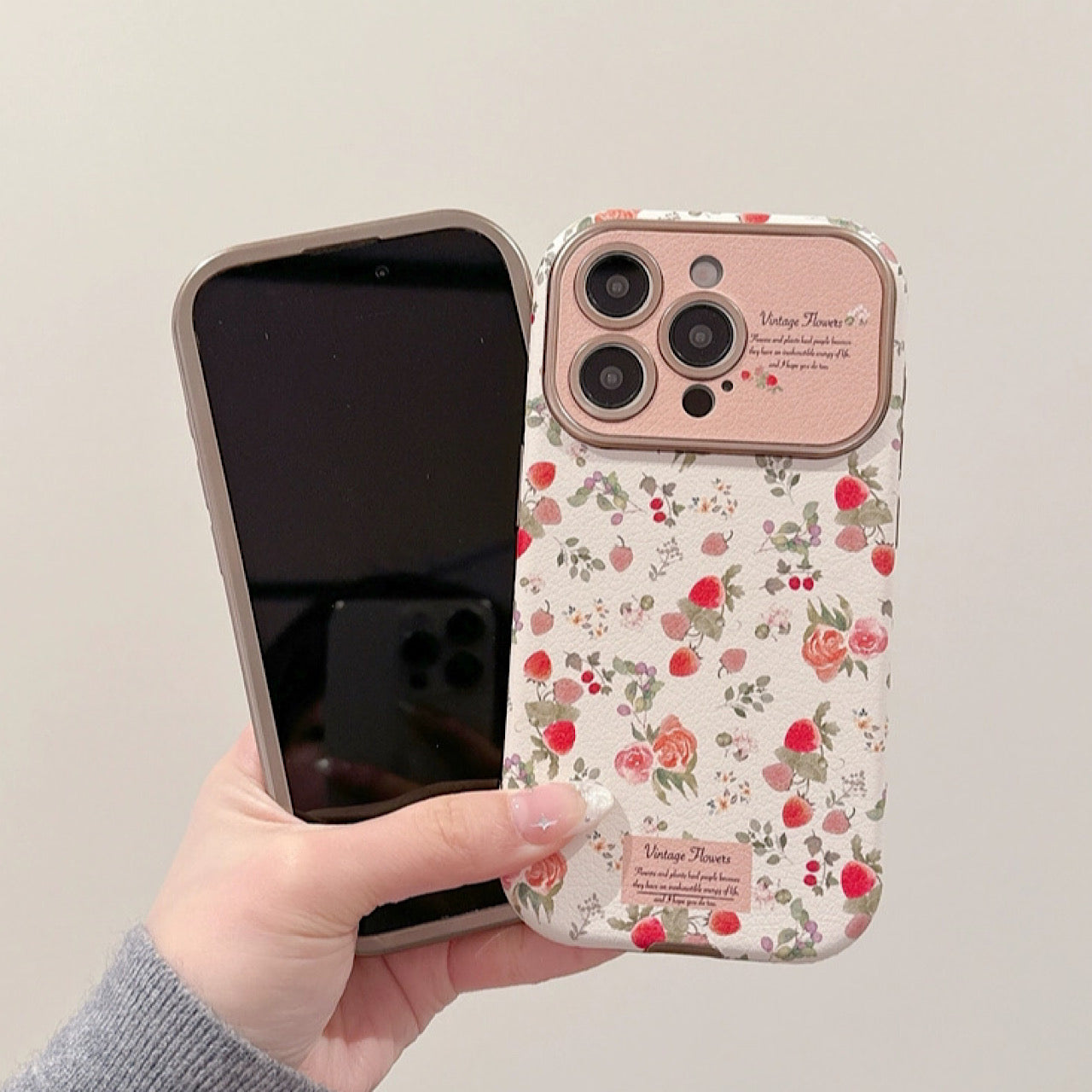 INSCASE