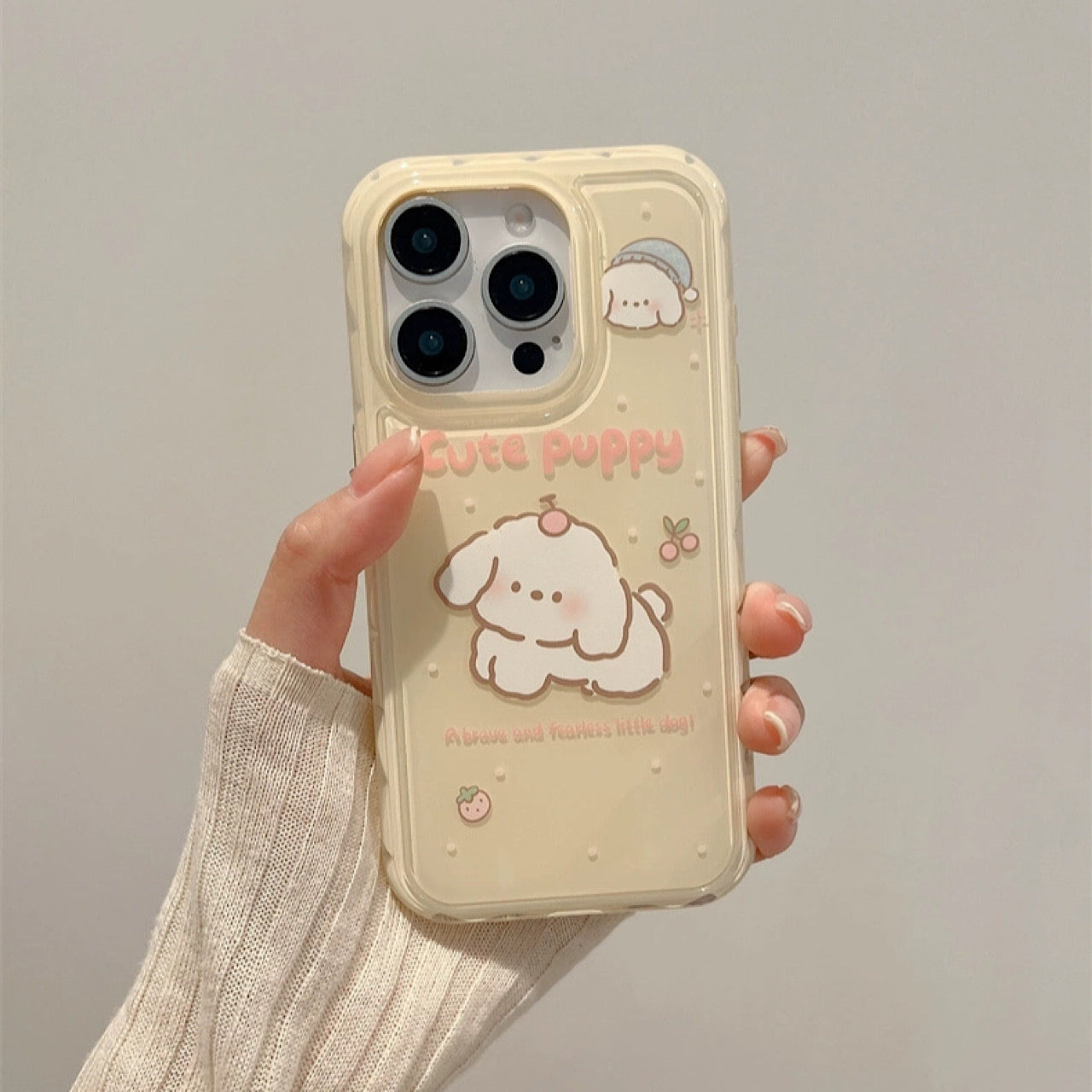 INSCASE
