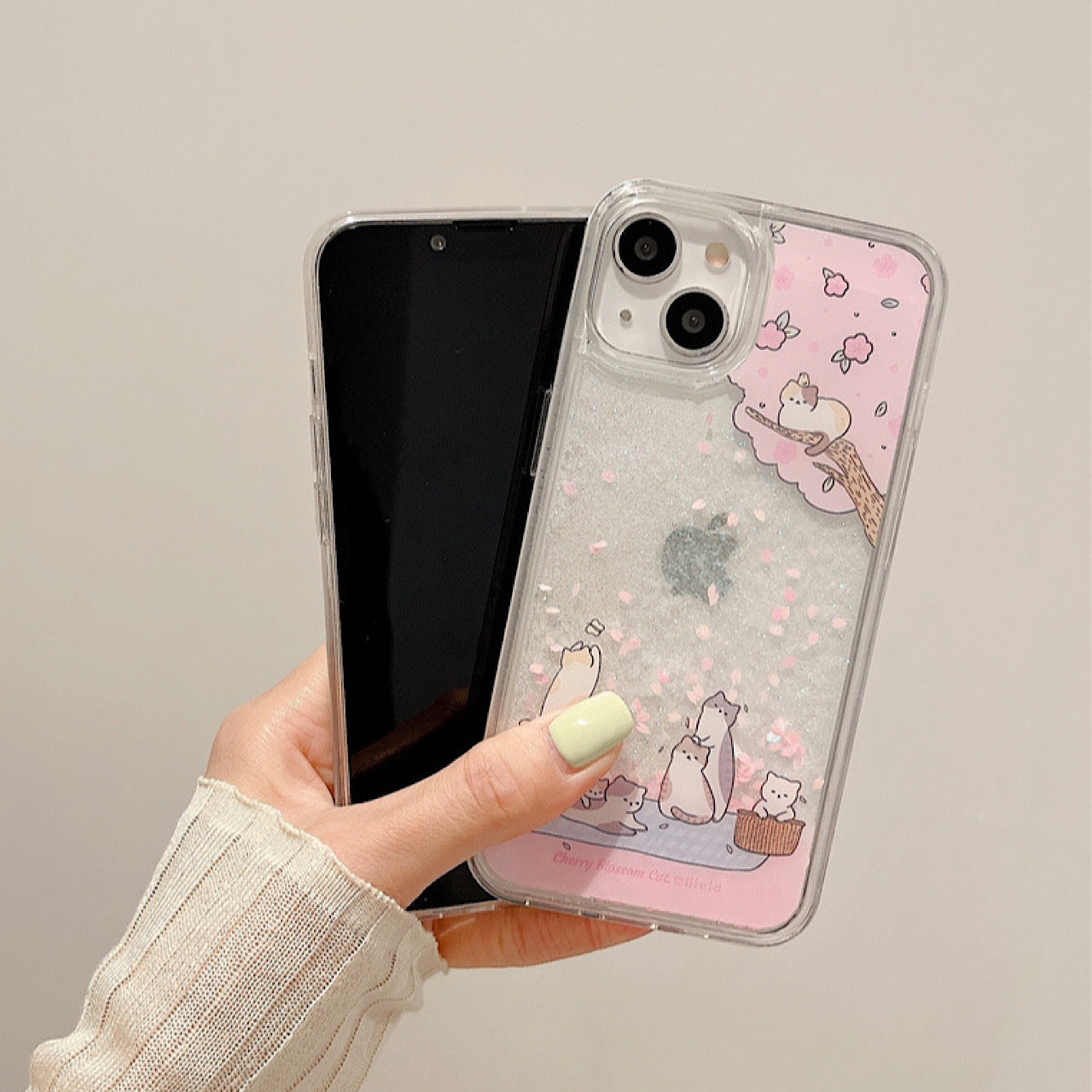 INSCASE